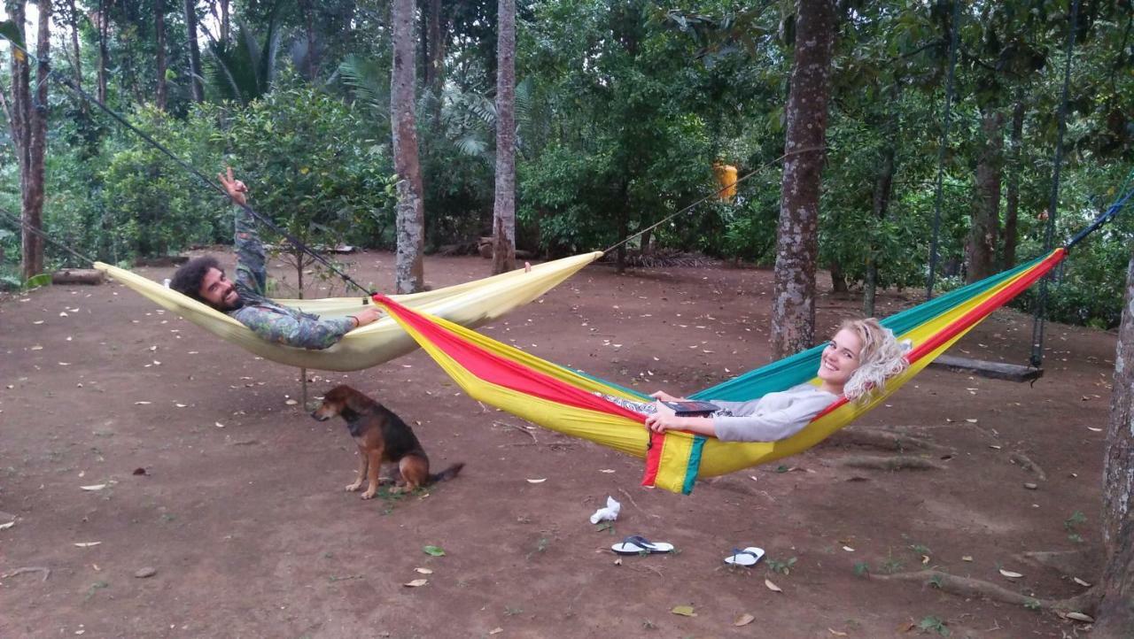 Esa Di Kubu Homestay Singaraja Exteriör bild