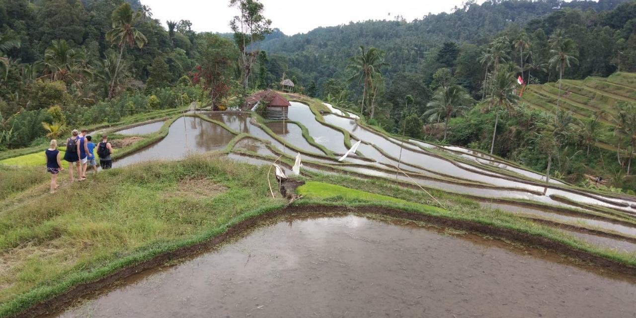 Esa Di Kubu Homestay Singaraja Exteriör bild