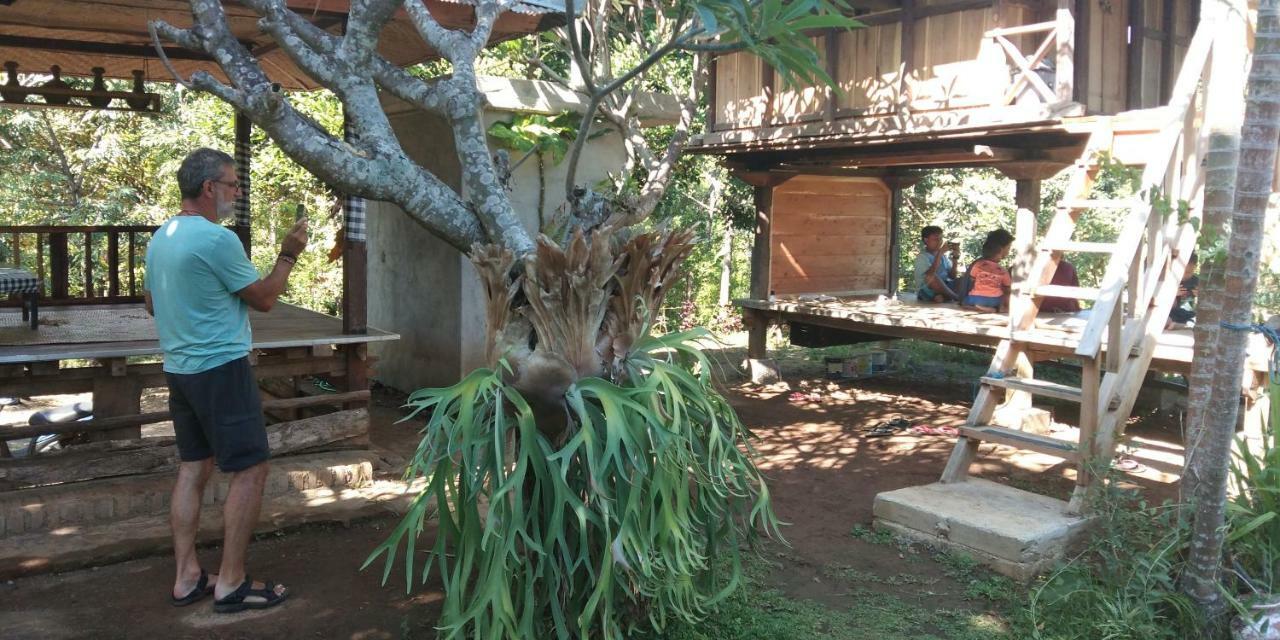 Esa Di Kubu Homestay Singaraja Exteriör bild
